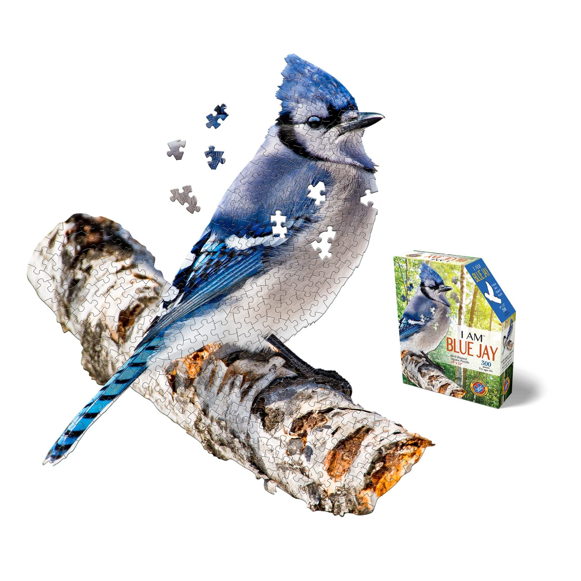 Amazon.com: Madd Capp Puzzles - I AM Blue Jay - 300 Pieces